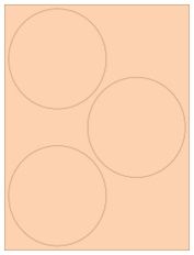 4.5" Diameter 3UP Pastel Orange Circle Labels